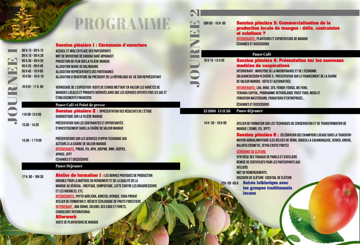 Programme officiel détaillé du Festival Foumangaffe, Festival de la Mangue de Casamance à Balingore